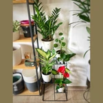 Estante para plantas hierro 4 niveles Estante para plantas hierro 4 niveles