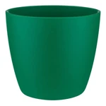 Brussels Round Mini 7 cm Lucky Green