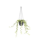 Brussels Hanging Basket 18 cm Anthracite