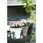 Corsica Flower Bridge 30 cm Taupe