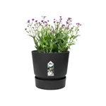 Greenville Round 14 cm Living Black