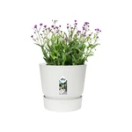 Greenville Round 16 cm White