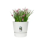 Greenville Round 16 cm White