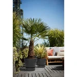 Greenville Round 47 cm Living Black