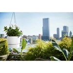 Greenville Hanging Basket 24 cm White