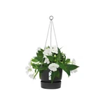 Greenville Hanging Basket 24 cm Living Black