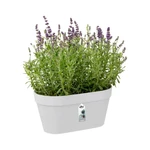 Loft Urban Green Wall Duo 28 cm White