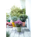 Loft Urban Round 25 cm Pistachio Green