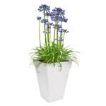 Loft Urban Square High 30 cm White