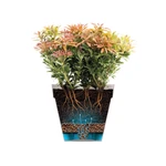 Loft Urban Square High 30 cm White