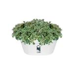 Loft Urban Wall Basket 40 cm White