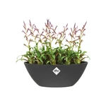 Brussels Oval 36 cm Anthracite