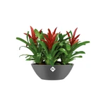 Brussels Oval 36 cm Anthracite