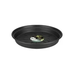 Plato Green Basics 17 cm Living Black