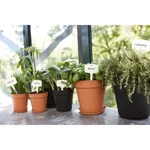 Plato Green Basics 17 cm Living Black