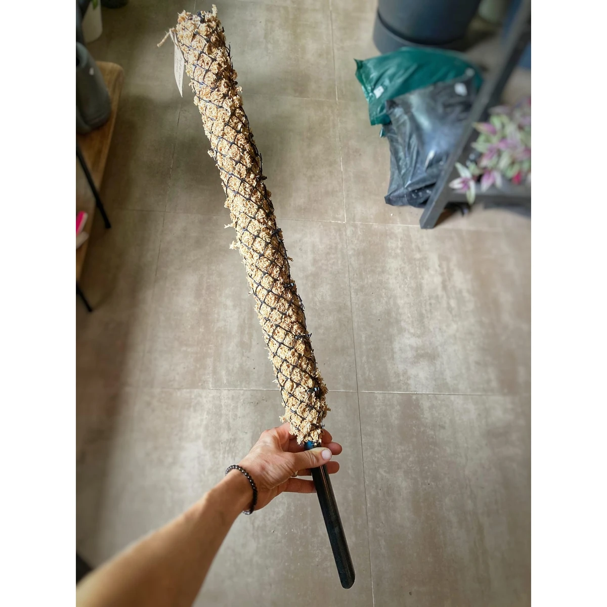 Tutor Musgo Sphagnum 65cm 