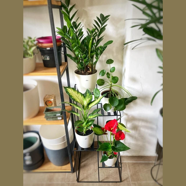 Estante para plantas hierro 4 niveles Estante para plantas hierro 4 niveles