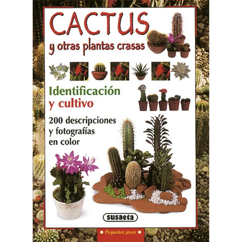 Libro cactus y otras plantas crasas identificación y cultivo Libro cactus y otras plantas crasas identificación y cultivo