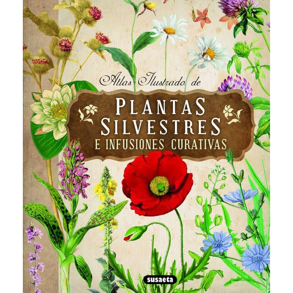 Libro Atlas Ilustrado de plantas silvestres e infusiones Libro Atlas Ilustrado de plantas silvestres e infusiones