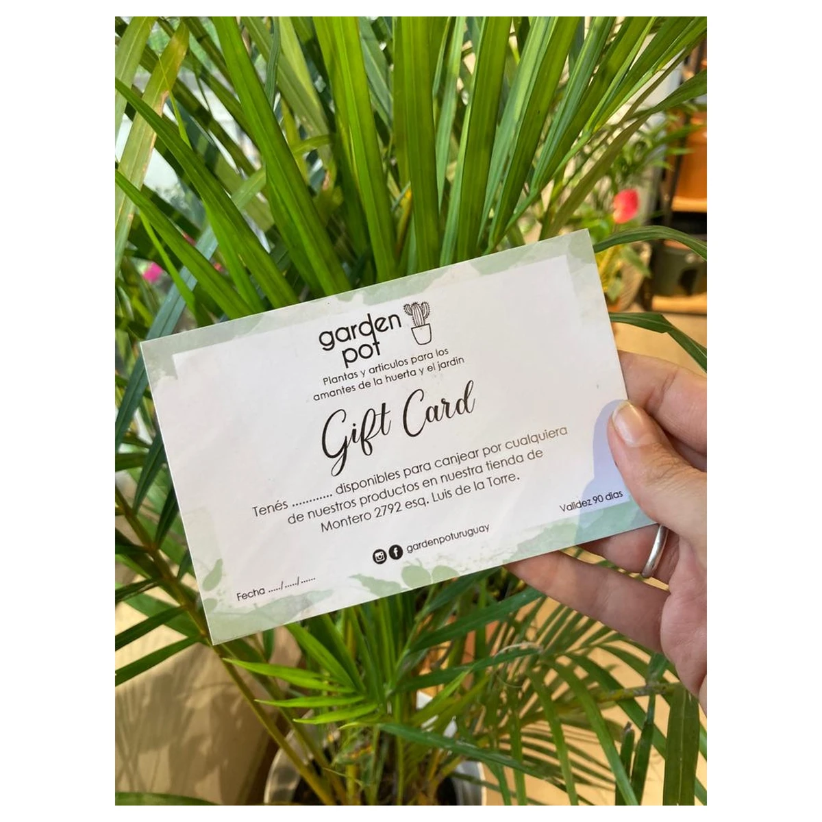 Gift Card - Gift Card Digital 