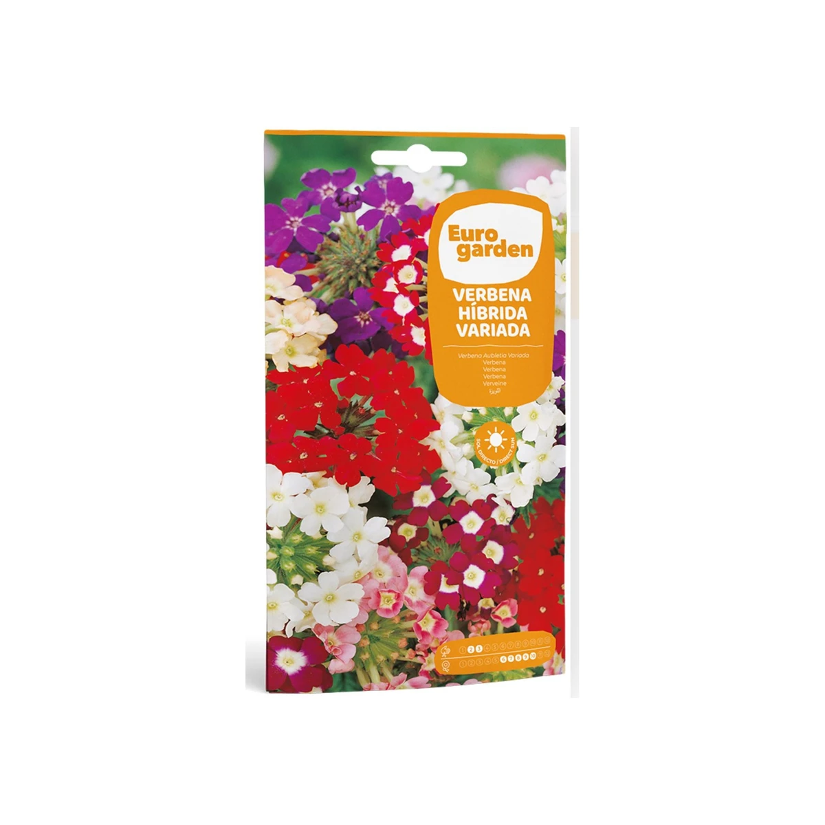 Semillas Flores Verbena Hibrida Variada 