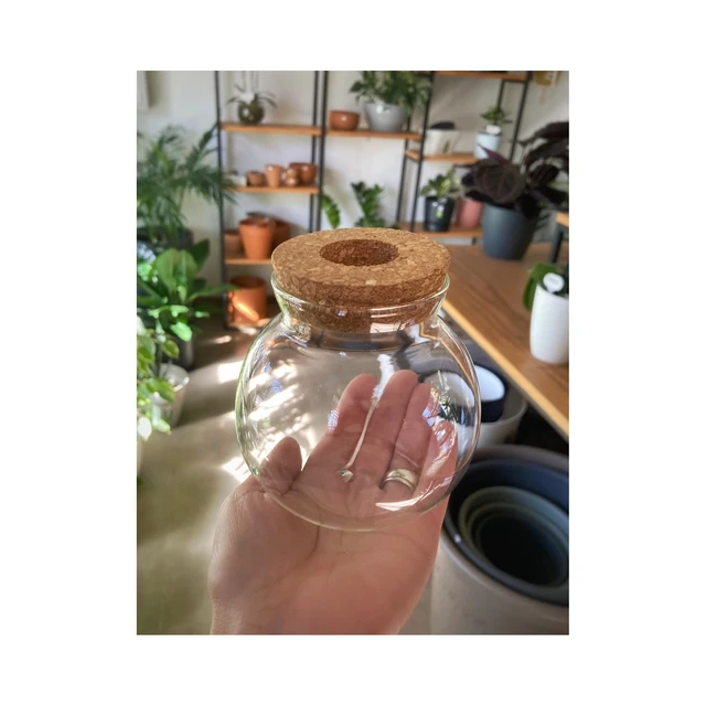 Recipiente vidrio para plantas con tapón de corcho Recipiente vidrio para plantas con tapón de corcho