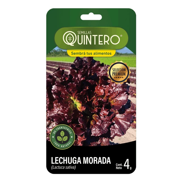 Semillas Lechuga Morada Semillas Lechuga Morada