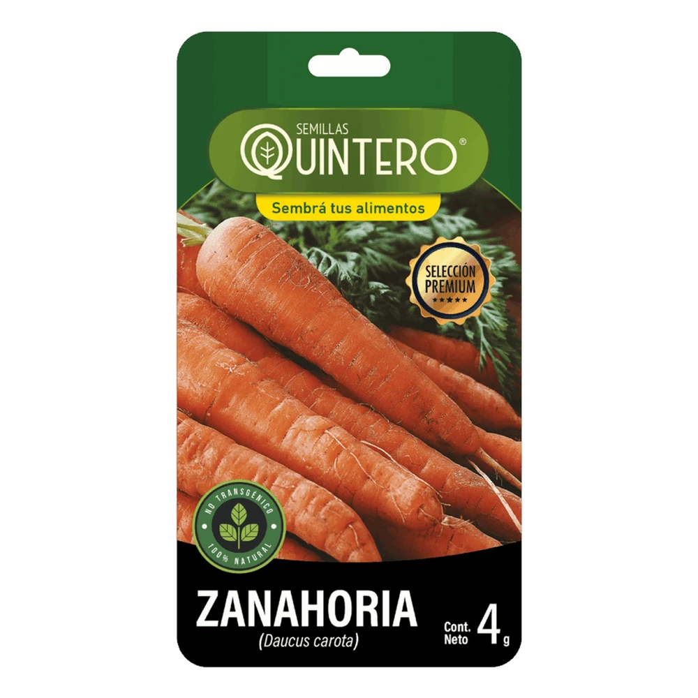 Semillas Zanahoria Semillas Zanahoria