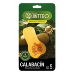 Semillas Calabacín Semillas Calabacín