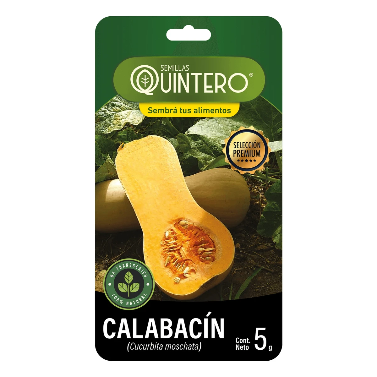 Semillas Calabacín 