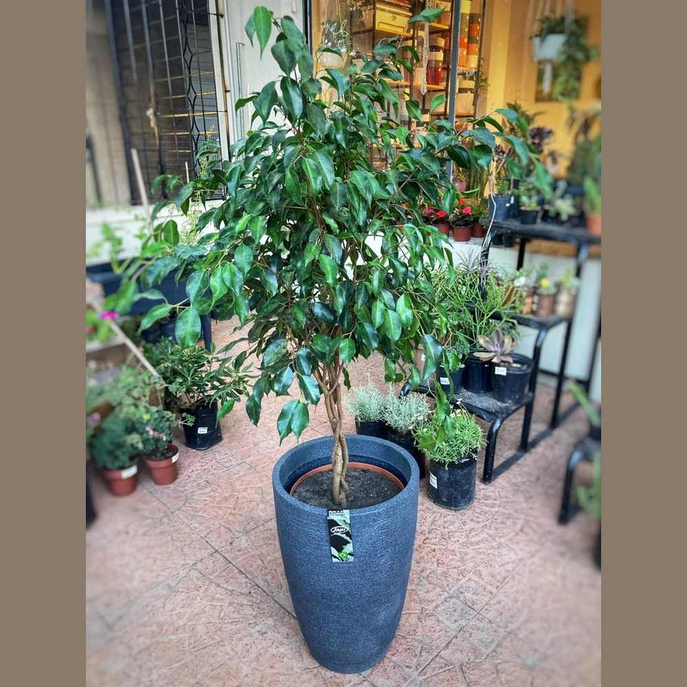 Maceta Japi Alta 38cm diámetro Grafito