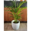 Maceta Plastico Japi 33cm Cemento