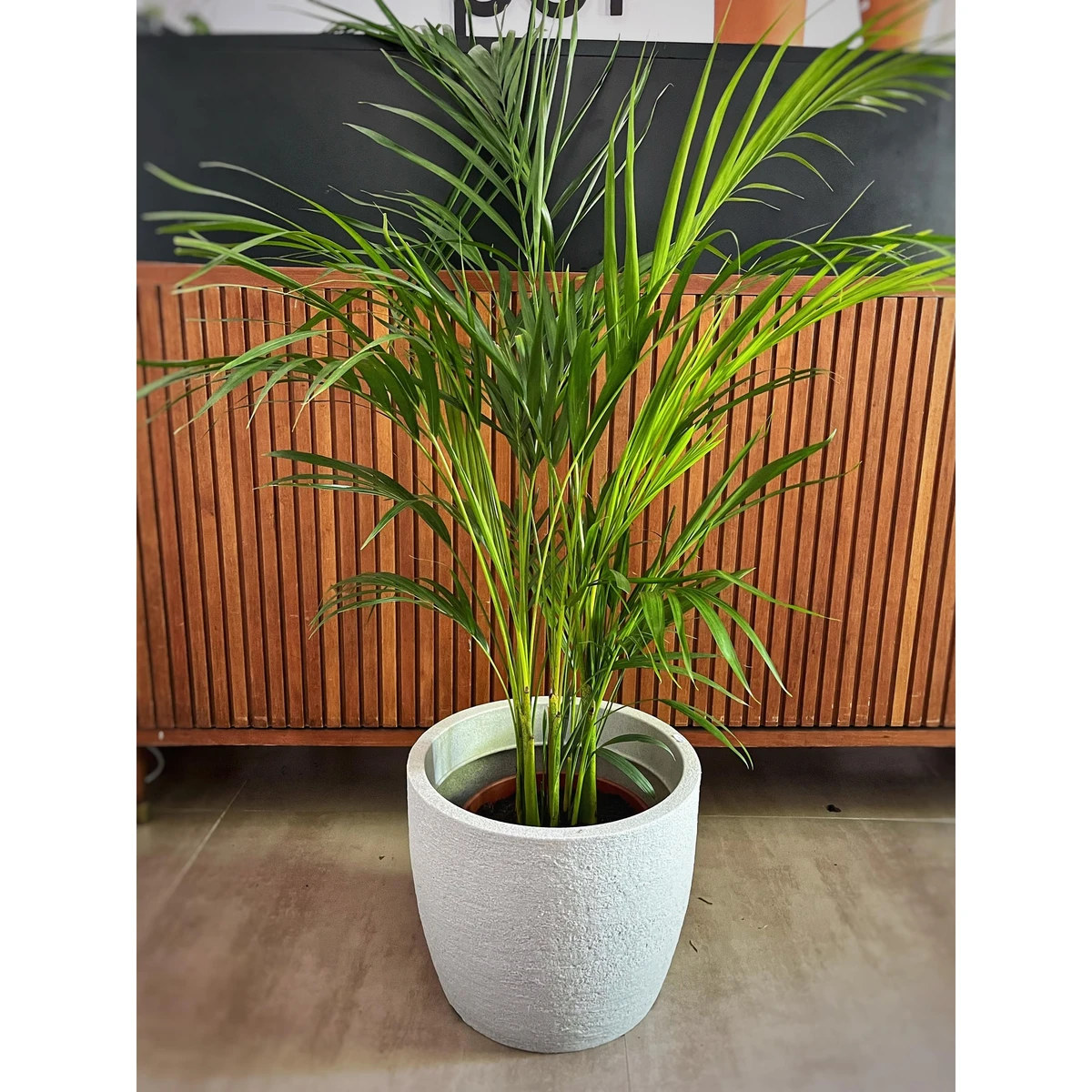 Maceta Plastico Japi 33cm - Cemento 