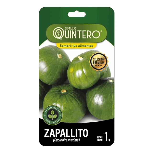 Semillas Zapallito Semillas Zapallito