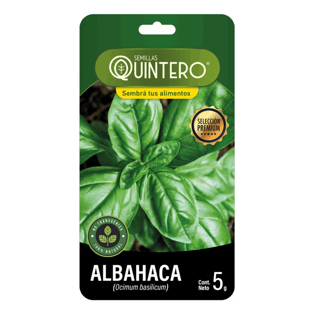 Semillas Albahaca Semillas Albahaca