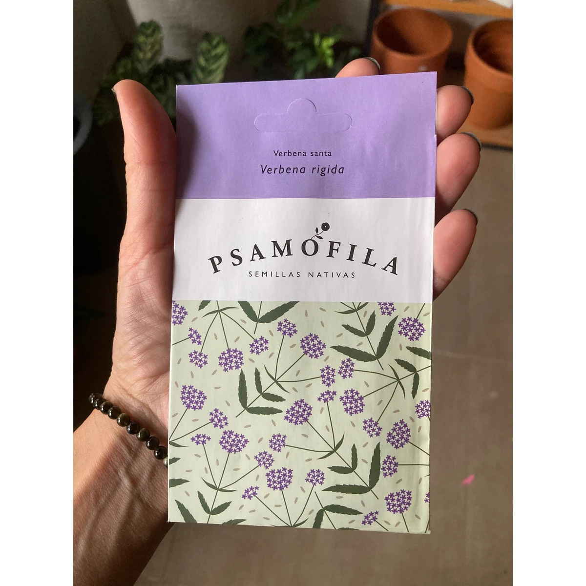 Semilla Psamofila Verbena Rigida 