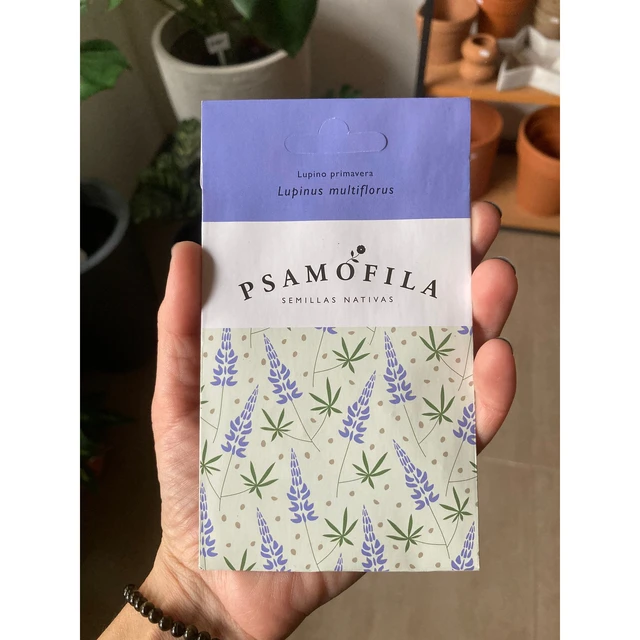 Semilla Psamofila Lupinus Multiflorus Semilla Psamofila Lupinus Multiflorus