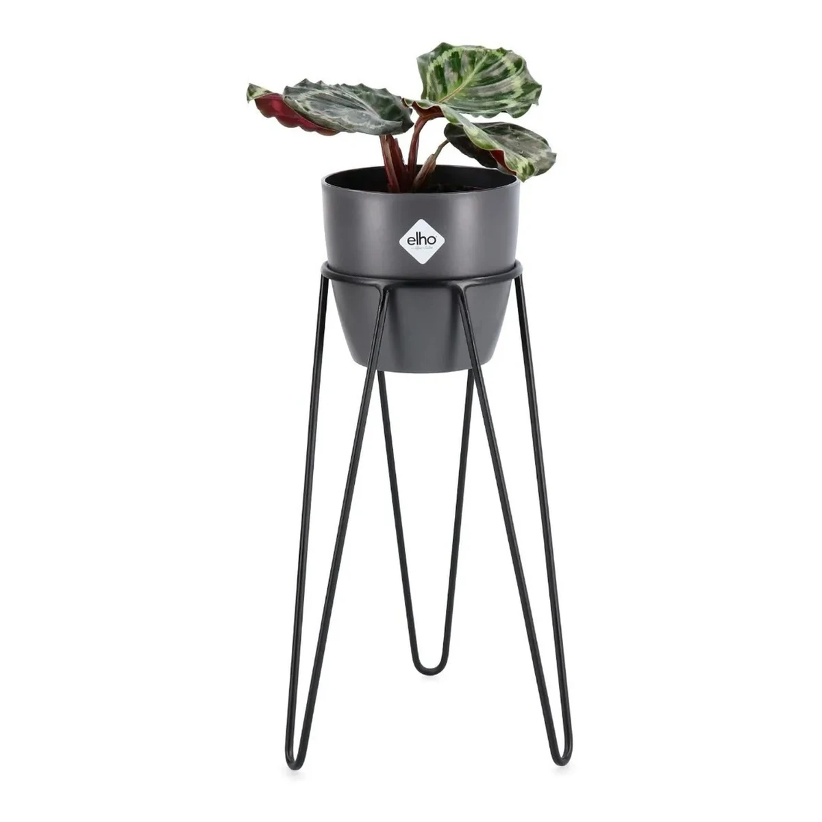 Maceta Elho brussels 14cm con soporte hierro 