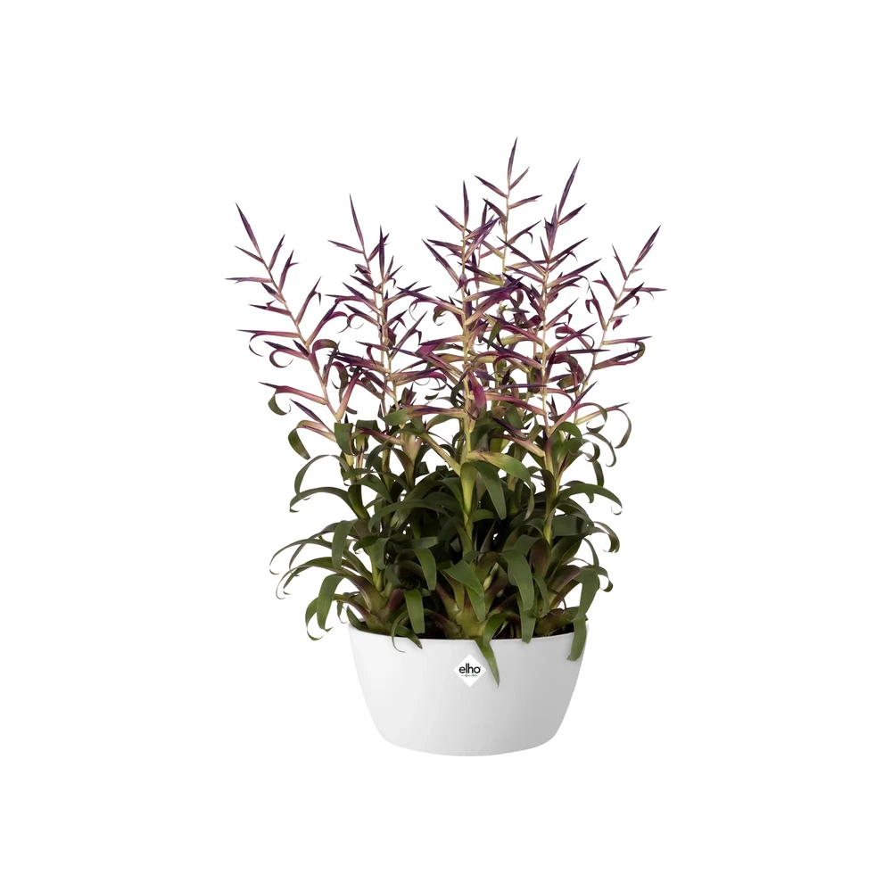 Brussels Bowl 23 cm White