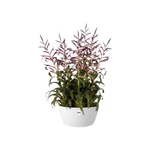 Brussels Bowl 23 cm White