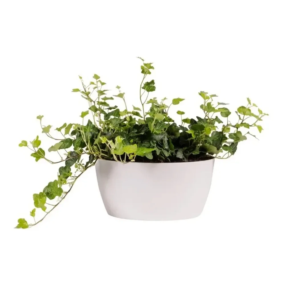 Brussels Bowl 23 cm White