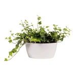 Brussels Bowl 23 cm White