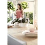 Brussels Bowl 23 cm White