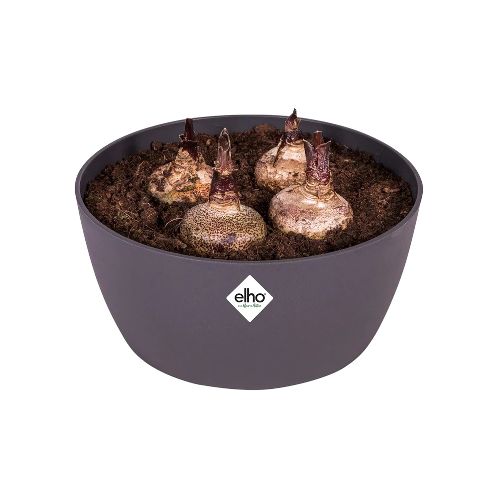 Brussels Bowl 23 cm Anthracite