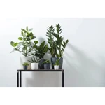 Brussels Round Mini 12,5 cm Anthracite