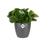 Brussels Round Mini 12,5 cm Anthracite