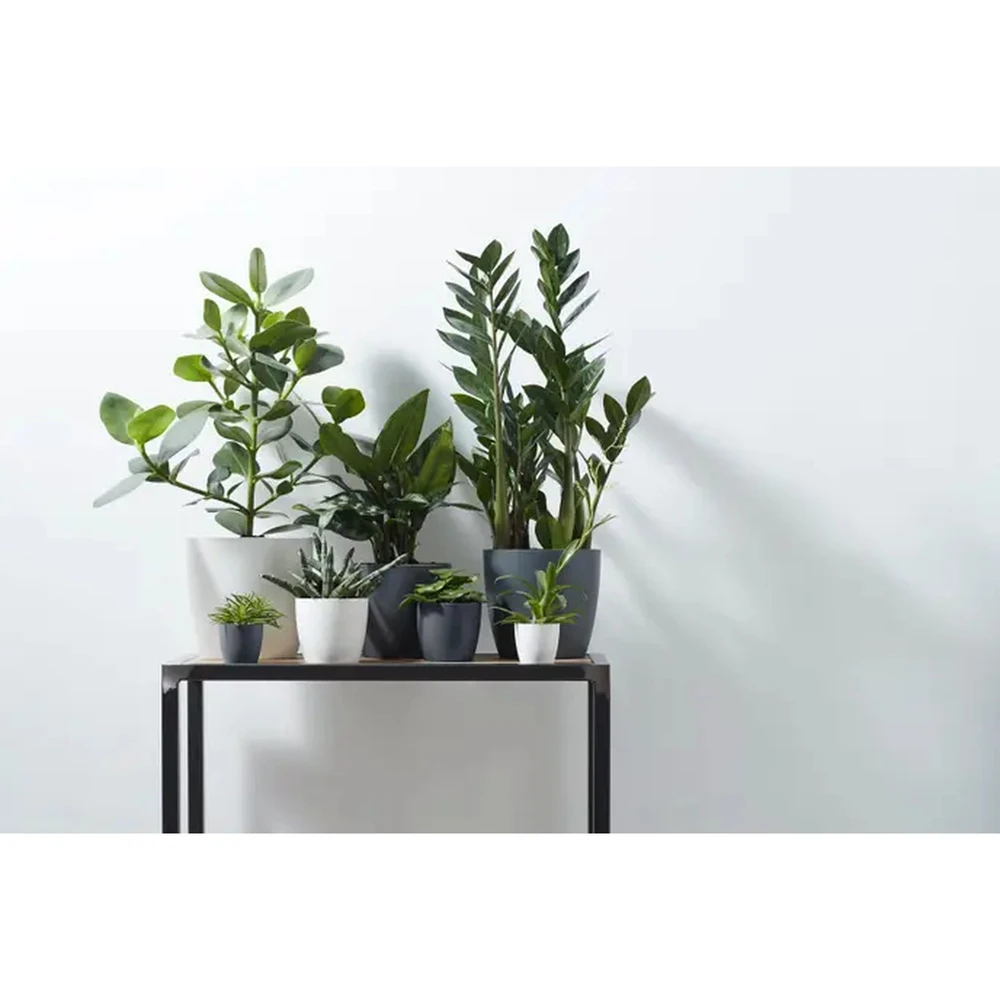 Brussels Round Mini 7 cm Anthracite