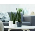 Brussels Round Mini 9,5 cm Anthracite