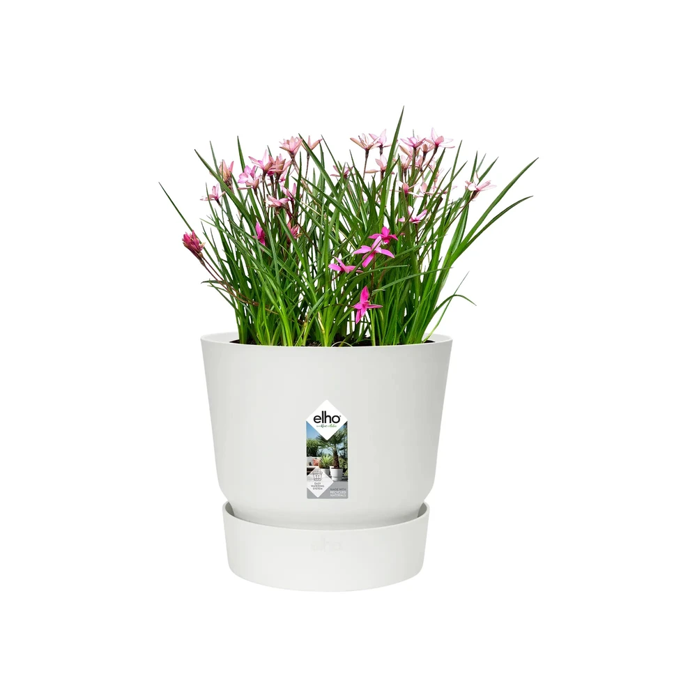 Greenville Round 16 cm White