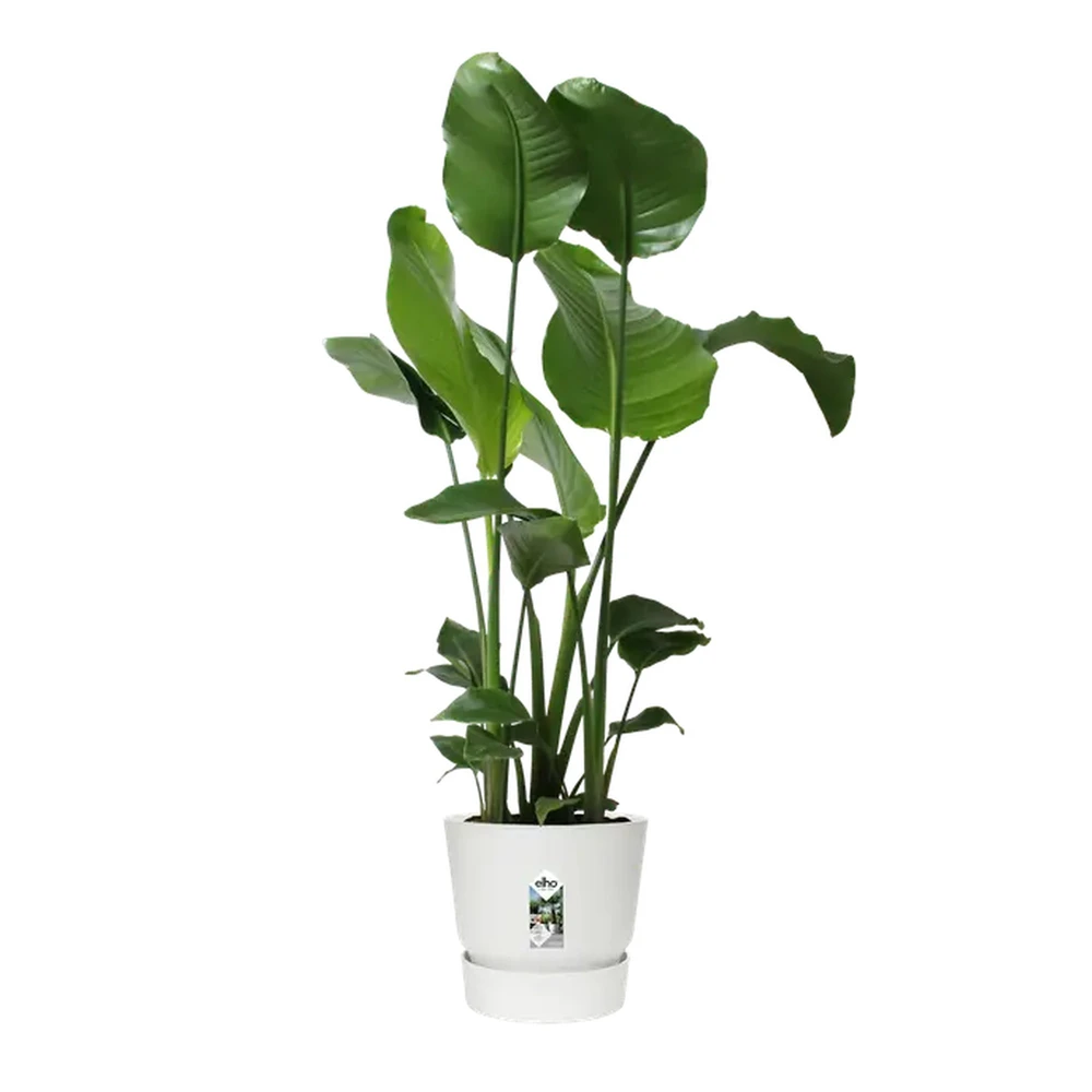 Greenville Round 30 cm White